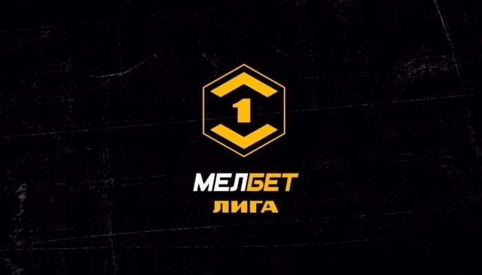КАМАЗ &mdash; Чайка